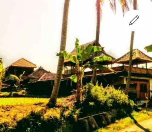 Pondok Diana Arta Jasri Exterior photo